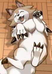 brown_fur claws closed_eyes gen_7_pokemon lycanroc lycanroc_(midday) nintendo no_humans open_mouth pokemon pokemon_(creature) solo sq_5be tail two-tone_fur white_fur