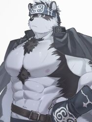 1boy abs ainu_clothes bara bare_pectorals belt chest_tuft frown furry furry_male gakuran grey_fur hand_on_own_hip headband highres horkeu_kamui large_pectorals looking_at_viewer male_focus muscular muscular_male navel nipples pectorals school_uniform simple_background solo tokyo_houkago_summoners two-tone_fur upper_body vambraces wanijima white_background wolf_boy