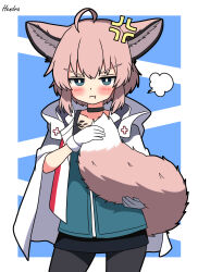1girl :t absurdres ahoge anger_vein animal_ears arknights black_choker black_pantyhose black_skirt blue_background blue_eyes blue_vest blush bright_pupils choker closed_mouth coat cowboy_shot cross fox_ears fox_girl fox_tail gloves hendra highres holding_own_tail hood hooded_coat jitome lab_coat looking_at_viewer material_growth miniskirt oripathy_lesion_(arknights) pantyhose pencil_skirt pink_hair pout puff_of_air red_cross short_hair signature simple_background skirt solo sussurro_(arknights) tail v-shaped_eyebrows vest white_coat white_gloves white_pupils
