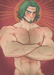 1boy abs artist_name bara biceps blush crossed_arms diadem f_con feet_out_of_frame fire_emblem fire_emblem:_three_houses green_eyes green_hair hairy highres large_pectorals male_focus manly mature_male muscular muscular_arms muscular_male nintendo nipples one_eye_closed pectorals scar seteth_(fire_emblem) short_hair signature simple_background solo sun sweat sweatdrop thick_eyebrows upper_body veins very_hairy