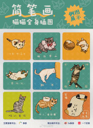 animal animal_focus bow bowl bowtie calico cat chinese_commentary chinese_text clothed_animal commentary_request ex_sutiao highres lying meme no_humans on_back original red_bow red_bowtie sitting sparkle tabby_cat translation_request watermark weibo_watermark