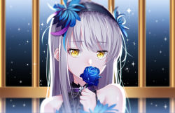 1girl bang_dream! bare_shoulders black_dress black_hairband blue_flower blue_rose blurry blurry_background choker commentary covered_mouth depth_of_field dress english_commentary female_focus flower flower_over_mouth hair_between_eyes hair_flower hair_ornament hairband hand_up highres holding holding_flower lace lace-trimmed_hairband lace_trim long_hair looking_at_viewer minato_yukina portrait purple_choker rose silver_hair sleeveless sleeveless_dress solo sparkle the_cold very_long_hair yellow_eyes