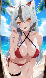 1girl absurdres animal_ear_fluff animal_ears ashinobu_panda bikini breasts colored_tongue fangs green_hair green_tongue hand_in_own_hair highres large_breasts leaning_forward lion_girl long_hair looking_at_viewer multicolored_hair nian_nian red_bikini streaked_hair swimsuit virtual_youtuber yellow_eyes