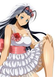 ikkitousen kakouen_myousai tagme
