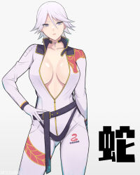 1girl bodysuit breasts breasts_apart christie_(doa) contrapposto dead_or_alive female_focus hand_on_own_hip highres konishiki_(52siki) large_breasts looking_at_viewer medium_hair no_bra solo standing unzipped white_bodysuit white_hair