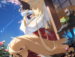 1girl animal_ear_fluff animal_ears architecture blonde_hair blue_fire blue_sky bottle breasts cherry_blossoms day drinking fire fox_ears fox_girl fox_tail frog green_eyes hakama helic_(7317helic) highres japanese_clothes kosode large_breasts miko original outdoors red_hakama shouji signature sitting sky sliding_doors solo star_(sky) stone_lantern tail water_bottle wind_chime