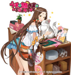 1girl bag blue_skirt breasts brown_eyes brown_hair cash_register cat counter cup frilled_shirt frilled_skirt frills ice_(ice_aptx) kushinada_(uchi_no_hime-sama) long_hair looking_at_viewer multicolored_eyes off-shoulder_shirt off_shoulder plant plate potted_plant shirt shoulder_bag skirt uchi_no_hime-sama_ga_ichiban_kawaii very_long_hair white_shirt yellow_eyes