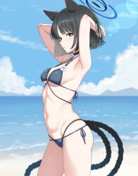 1girl animal_ears beach bikini black_eyes black_hair blue_archive blue_bikini blue_sky breasts cat_ears cat_girl cat_tail cloud kikyou_(blue_archive) kikyou_(swimsuit)_(blue_archive) looking_at_viewer medium_breasts multiple_tails navel ocean official_alternate_costume shefu short_hair sky solo summer swimsuit tail