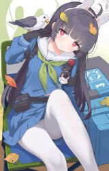 1girl animal_ear_hairband animal_ears bird bird_on_hand black_gloves black_hair blue_archive blue_shirt blue_skirt closed_mouth fake_animal_ears gloves green_neckerchief hairband halo highres long_hair long_sleeves looking_at_animal miyu_(blue_archive) mushpz neckerchief outdoors pantyhose rabbit_ears red_eyes sailor_collar school_uniform shirt simple_background skirt solo white_hairband white_pantyhose white_sailor_collar