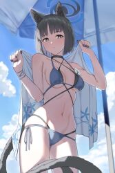 1girl animal_ears bikini blue_archive blue_bikini blue_sky breasts cat_ears cat_girl cat_tail cloud commentary_request day kikyou_(blue_archive) kikyou_(swimsuit)_(blue_archive) looking_at_viewer medium_breasts morino_(harpoomoss) official_alternate_costume outdoors parasol sky solo swimsuit tail umbrella