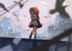 Rule 34 | 1girl, :o, absurdres, angelina (arknights), animal ears, arknights, bird, black collar, black gloves, black shoes, black shorts, black socks, blurry, blurry background, blush, brown hair, city, coat, collar, depth of field, dot nose, earpiece, flock, fox ears, fox girl, full body, gloves, hairband, highres, holding, holding letter, infection monitor (arknights), jacket, kneehighs, letter, long sleeves, material growth, open clothes, open coat, open jacket, open mouth, oripathy lesion (arknights), outdoors, red eyes, red hairband, red jacket, shilonagas, shoes, short shorts, shorts, sneakers, socks, solo, striped clothes, striped hairband, twintails, two-tone hairband, white coat