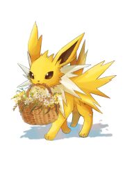 Rule 34 | animal, animal focus, brown eyes, flower, full body, gen 1 pokemon, highres, jolteon, mouth hold, nintendo, no humans, pokemon, pokemon (creature), simple background, smile, solo, volpecorvo, walking, white background