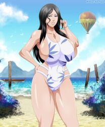 1girl aircraft beach bleach breasts highres hot_air_balloon huge_breasts long_hair rtenzo smile solo swimsuit unohana_retsu
