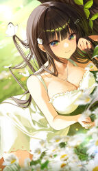 Rule 34 | 1girl, absurdres, bare shoulders, between breasts, blunt bangs, breasts, brown hair, bug, butterfly, cleavage, closed mouth, commentary, dot nose, dress, field, flower, green eyes, hair flower, hair ornament, hairpin, highres, insect, jewelry, large breasts, long hair, looking at viewer, lying, mole, mole on breast, myowa, necklace, original, sleeveless, sleeveless dress, solo, sundress, symbol-only commentary, thighs, very long hair, white butterfly, white dress, white flower