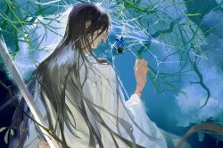 1boy blood blood_on_arm blue_butterfly branch brown_eyes brown_hair bug butterfly chinese_clothes chinese_commentary chu_wanning closed_mouth erha_he_tadebai_mao_shizun from_behind hair_down hanfu highres holding holding_sword holding_weapon insect jian_(weapon) long_hair long_sleeves looking_at_animal male_focus nourfeiar silk solo spider spider_web sword tree weapon white_hanfu wide_sleeves