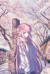 1girl am00-07 bad_link blue_eyes bocchi_the_rock! cherry_blossoms gotoh_hitori highres pink_hair