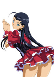 ikkitousen kakouen_myousai tagme