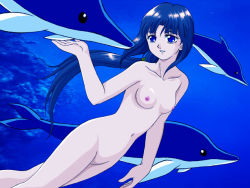 1girl after_war_gundam_x blue_eyes breasts dolphin female_focus freediving gundam hanzou long_hair navel nipples nude nudist open_mouth ponytail skinny_dipping small_breasts solo swimming teeth tiffa_adill underwater very_long_hair water zenra