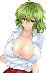 1girl ashima_takumi breast_hold breasts cleavage covered_erect_nipples crossed_arms female_focus green_hair kazami_yuuka large_breasts light_smile open_clothes open_shirt red_eyes shirt short_hair simple_background solo touhou xeqj