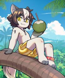 1boy :3 absurdres anklet black_hair borrowed_character bulge canopy_(forest) closed_mouth cloud coconut coconut_cup colored_bangs commission contrail day dolphin_shorts drinking_straw fang fang_out flipped_hair food furry grey_fur grey_tail hand_rest highres holding holding_food jewelry looking_at_viewer male_focus multicolored_hair necklace nipples no_shirt on_tree original outdoors palm_tree paulo_z pendant petite short_hair shorts shoulder_tattoo sitting solo streaked_hair tattoo tree two-tone_tail white_hair white_tail yellow_eyes yellow_shorts