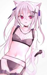 1girl absurdres animal_ears bare_shoulders black_bra black_gloves black_panties blush bra breasts cat_ears cat_girl cat_tail collarbone commentary_request commission fishnets gloves grey_background grey_hair hair_between_eyes hair_ornament highres holding_tail irohatomo looking_at_viewer navel original panties parted_lips pixiv_commission red_eyes simple_background small_breasts solo tail twintails underwear