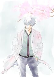 Rule 34 | 1boy, absurdres, belt, bespectacled, black belt, black necktie, black pants, cherry blossoms, cigarette, coat, collared shirt, commentary request, ghqjyu, gintama, glasses, green shirt, grey hair, hands in pockets, highres, lapels, layered sleeves, long sleeves, looking at viewer, male focus, necktie, notched lapels, open collar, outdoors, pants, sakata gintoki, shirt, short hair, solo, standing, tree, white coat