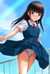 1girl absurdres black_hair blue_dress blue_sky blush bow brown_eyes collared_shirt day dress highres long_hair looking_at_viewer matsunaga_kouyou neck_ribbon nose_blush original outdoors panties pleated_dress ribbon shirt short_sleeves sky sleeveless sleeveless_dress solo underwear white_panties white_shirt