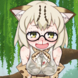 1girl animal_ears animal_print belt blood blood_on_clothes blush bow bowtie bra breasts brown_belt brown_bra brown_hair cat_ears cat_girl cloud floral_print glasses gloves highres kemono_friends looking_at_viewer margay_(kemono_friends) medium_breasts nosebleed open_mouth orange_bow orange_bowtie orange_gloves orange_skirt print_bow print_bowtie print_gloves print_shirt print_skirt see-through_clothes see-through_shirt shirt short_hair skirt sky sleeveless sleeveless_shirt smile standing sweat t_jiroo_(ringofriend) tree underwear upper_body wet wet_clothes wet_shirt white_shirt yellow_eyes