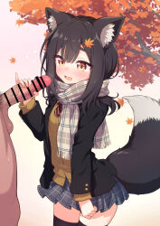 1boy 1girl animal_ears bar_censor black_hair black_jacket black_thighhighs blue_skirt bow bowtie breasts brown_eyes brown_sweater censored commission diagonal-striped_bow diagonal-striped_bowtie diagonal-striped_clothes grey_scarf hair_ornament hairclip hetero highres jacket large_variant_set layered_sleeves leaf_hair_ornament long_sleeves male_pubic_hair medium_hair miniskirt open_mouth original penis penis_grab pinky_out plaid_clothes plaid_scarf plaid_skirt pleated_skirt pubic_hair red_bow red_bowtie scarf skeb_commission skirt small_breasts striped_clothes sweater tail testicles thighhighs variant_set wodaex wolf_ears wolf_girl wolf_tail