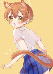 1girl animal_ears blue_skirt blush cat_ears cat_tail cowboy_shot from_behind hair_between_eyes highres hoshizora_rin kemonomimi_mode looking_at_viewer looking_back love_live! love_live!_school_idol_project open_mouth orange_hair osono_(osonokichi) otonokizaka_school_uniform pleated_skirt school_uniform shirt short_hair short_sleeves simple_background skirt solo standing summer_uniform surprised tail white_shirt yellow_background yellow_eyes