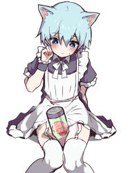 animal_ears apron aqua_hair arm_behind_back between_thighs black_dress black_wrist_cuffs blue_eyes blush brain cat_boy cat_ears crossdressing crossdressing_(mtf) dress frown hair_between_eyes hand_up highres knees_together_feet_apart looking_down maid maid_apron misskey.io murakami-san_(misskey.io) object_between_thighs ribbon short_sleeves simple_background sitting sweat thighhighs thighs trap white_background white_ribbon white_thighhighs wrist_cuffs yoruhachi zettai_ryouiki