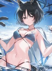 1girl absurdres animal_ears b_soyo1 bikini black_eyes blue_archive blue_bikini blue_halo breasts cat_ears cat_girl cat_tail closed_mouth commentary cowboy_shot day halo hands_up highres kikyou_(blue_archive) kikyou_(swimsuit)_(blue_archive) looking_at_viewer medium_breasts multiple_tails outdoors side-tie_bikini_bottom smile solo stomach swimsuit tail two_tails wading