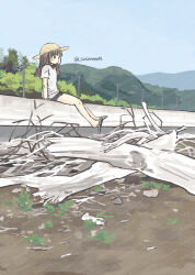 1girl absurdres beach blue_sky brown_hair commentary_request day grass hat highres log long_hair original outdoors power_lines sandals sasaxxxx06 shirt short_sleeves shorts sitting sky solo sun_hat tree twitter_username utility_pole white_shirt wide_shot