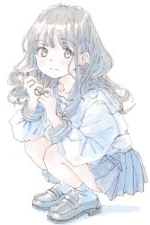 Rule 34 | 1girl, black hair, blue sailor collar, blue skirt, blush, closed mouth, full body, highres, loafers, long hair, long sleeves, looking at viewer, original, pleated skirt, poranka (porankaran), sailor collar, school uniform, serafuku, shirt, shoes, skirt, smile, solo, squatting, white background, white shirt