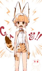 1girl absurdres adapted_costume animal_ear_fluff animal_ears breasts character_request earrings fangs gloves highres jewelry kemono_friends looking_at_viewer notora open_mouth orange_hair redesign shirt_tucked_in short_hair short_shorts shorts small_breasts solo tail v-shaped_eyebrows