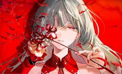 1girl arm_ribbon bandage_over_one_eye bandages bare_shoulders bright_pupils collar commentary_request detached_collar detached_sleeves earrings flower grey_hair hands_up highres holding holding_flower jewelry long_hair looking_at_viewer nail_polish okoge_(koge_chan) parted_lips phrolova_(wuthering_waves) portrait red_background red_collar red_eyes red_flower red_nails red_petals red_sleeves ribbon single_detached_sleeve solo spider_lily teeth white_pupils wuthering_waves