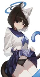 1girl 46_coffee absurdres animal_ear_fluff animal_ears black_eyes black_hair black_panties black_ribbon blue_archive blue_halo blue_neckerchief blue_sailor_collar blue_skirt blush bright_pupils cat_ears cat_girl cat_tail closed_mouth clothes_lift commentary cowboy_shot film_grain halo highres kikyou_(blue_archive) lace lace-trimmed_panties lace_trim lifting_own_clothes long_sleeves looking_at_viewer miniskirt multiple_tails neck_ribbon neckerchief panties pleated_skirt presenting ribbon sailor_collar school_uniform serafuku shirt short_hair side-tie_panties simple_background sitting skirt skirt_lift solo split_mouth straight_hair tail tail_raised two_tails underwear v-shaped_eyebrows white_background white_pupils white_shirt