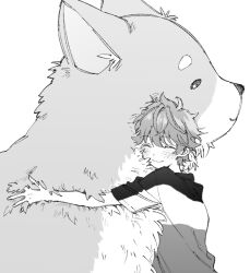 Rule 34 | 1boy, akehoshi subaru, animal, animal hug, blush, closed eyes, closed mouth, daikichi (ensemble stars!), dog, ensemble stars!, from side, greyscale, hair between eyes, highres, hug, maki keigo, male focus, monochrome, short hair, short sleeves, simple background, smile, upper body, white background