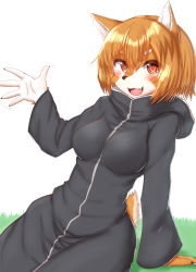 1girl :3 animal_ears animal_nose arm_support blush breasts brown_hair character_request dog_ears dog_girl dog_tail eyebrows fang flying_witch furry furry_female highres horokusa_(korai) long_sleeves looking_at_viewer medium_breasts open_mouth pink_eyes short_hair simple_background smile solo tail white_background