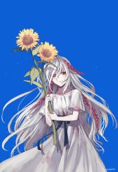 1girl blue_sky corruption dress ender_lilies_quietus_of_the_knights flower light_smile lily_(ender_lilies) long_hair looking_at_viewer red_eyes sky solo sorakaze_(mire) sunflower tendril veins white_dress white_hair