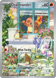 Rule 34 | animal focus, artist name, bird, blue eyes, bookshelf, card (medium), chair, character name, charmander, closed mouth, company name, copyright name, copyright notice, english text, fire, flame-tipped tail, flower, flower pot, gen 1 pokemon, gen 4 pokemon, glameow, hand on window, leaf, looking outside, minatake, nintendo, no humans, nostrils, official art, pidgey, pink flower, plant, pokemon, pokemon (creature), pokemon card, pokemon focus, pokemon tcg, potted plant, purple flower, tail, third-party source, trading card, window, window blinds, yellow flower