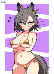 Rule 34 | absurdres, animal ears, arknights, bikini, blush, breasts, bright pupils, closed mouth, cowboy shot, flying sweatdrops, gold bikini, grey hair, hendra, highres, large breasts, micro bikini, navel, penance (arknights), purple background, short hair, side-tie bikini bottom, simple background, string bikini, swimsuit, tail, white pupils, wolf ears, wolf girl, wolf tail, yellow eyes