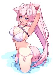 1girl absurdres animal_ear_fluff animal_ears antenna_hair arm_behind_head arm_up armpits ass bare_arms belt bikini black_belt black_choker blush bow breasts chest_belt choker cleavage deaver fang front-tie_bikini_top front-tie_top hair_bow hakui_koyori heart heart_choker heart_print hexagon_hair_ornament highres holding_own_tail hololive large_breasts long_hair looking_at_viewer open_mouth pink_bikini pink_hair pink_tail pink_trim ponytail purple_eyes red_bow side-tie_bikini_bottom simple_background smile solo swimsuit tail thighs virtual_youtuber wading white_background wolf_ears wolf_girl wolf_tail