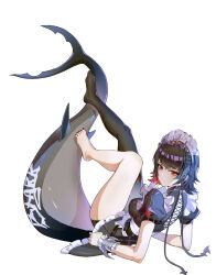 1girl barefoot black_dress black_hair black_pantyhose breasts closed_mouth colored_inner_hair commentary_request dress ellen_joe fins fish_tail frown full_body highres legs_up looking_back maid maid_headdress medium_breasts multicolored_hair no_shoes pantyhose paomamuchang pink_hair puffy_short_sleeves puffy_sleeves reclining red_eyes shark_tail short_hair short_sleeves simple_background single_leg_pantyhose solo tail white_background zenless_zone_zero