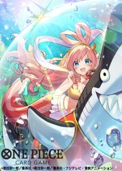 1boy 1girl bikini blue_eyes commentary_request copyright_name fish_hair_ornament giant giantess hagoromo hair_ornament half_updo megalo mermaid monkey_d._luffy monster_girl official_art one_piece one_piece_card_game open_mouth pink_hair sacanahen shark sharp_teeth shawl shirahoshi swimsuit teeth underwater yellow_bikini