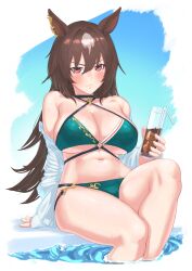 1girl animal_ears bikini blush breasts brown_hair cleavage closed_mouth commentary_request cup drinking_straw ear_ornament green_bikini hair_between_eyes hand_on_own_stomach highres holding holding_cup horse_ears horse_girl ice ice_cube large_breasts looking_at_viewer multicolored_hair navel red_eyes shirt shirt_partially_removed simple_background sirius_symboli_(umamusume) sitting smile solo stomach streaked_hair swimsuit umamusume upper_body v-shaped_eyebrows white_background white_hair white_shirt zenchou24cm