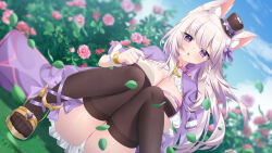 Rule 34 | 1girl, animal ears, black thighhighs, blue sky, cat ears, commission, flower, hair ornament, hat, highres, jewelry, knees together feet apart, leaf, long hair, looking at viewer, neck ring, original, panties, purple eyes, reading, sandals, skirt, sky, squatting, thighhighs, thighs, toes, top hat, umou (may65879), underwear, white hair, white panties, white skirt