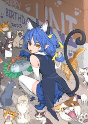 anger_vein angry animal_ears apron back blue_hair blue_skirt boots braid cat cat_ears cat_girl cat_tail chef_hat coattails commentary_request dated fish from_above from_behind gloves hair_ornament happy_birthday hat high_heel_boots high_heels highres looking_at_viewer looking_back outdoors paw_print plate precure puffing_up skirt squatting tail tail_raised thighhighs too_many too_many_cats triangle_hair_ornament tuqi_pix turning_head twin_braids urban white_apron yellow_eyes yuni_(precure) zettai_ryouiki