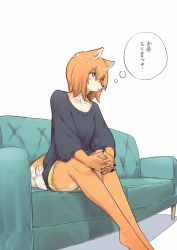 1girl absurdres al_(flying_witch) animal_ears black_shirt couch dog_ears dog_tail dolphin_shorts female_focus flying_witch furry furry_female highres inukai_(flying_witch) ishizuka_chihiro orange_hair own_hands_clasped shirt shorts simple_background sitting solo speech_bubble tail thought_bubble white_background