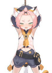 1girl animal_ears armpits arms_behind_head arms_up bangs_pinned_back belt belt_pouch blush breast_pocket cat_ears cat_girl cat_tail coattails cowboy_shot detached_sleeves diona_(genshin_impact) fangs flat_chest flower_ornament genshin_impact green_eyes highres loli looking_at_viewer navel neckerchief open_mouth pink_hair pink_vest pocket pouch puffy_shorts restrained short_hair short_shorts shorts simple_background so_(user_jkaz7455) solo spotted_tail straight-on sweat tail thick_eyebrows topknot vest white_background yellow_neckerchief